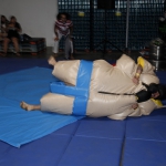 sumo-showdown_378