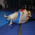 sumo-showdown_379