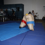 sumo-showdown_395