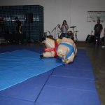 sumo-showdown_396