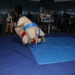 sumo-showdown_400