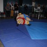 sumo-showdown_403