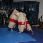 sumo-showdown_428