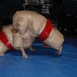 sumo-showdown_431