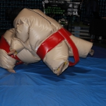 sumo-showdown_432