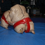 sumo-showdown_433