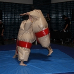 sumo-showdown_434