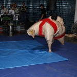 sumo-showdown_435