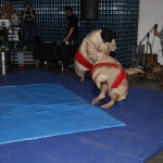 sumo-showdown_436