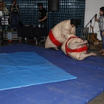 sumo-showdown_437