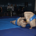 sumo-showdown_449