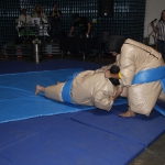 sumo-showdown_450