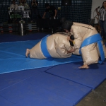 sumo-showdown_452