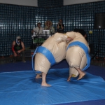 sumo-showdown_455