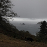 lost-coast-brewery_008