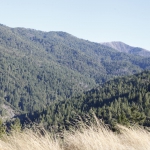 lost-coast-brewery_031