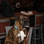 izzy_029