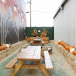 western-collective_015