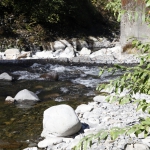 columbia-river-gorge017