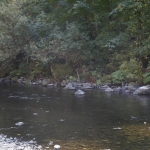 columbia-river-gorge019
