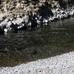 columbia-river-gorge032