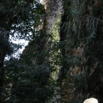 columbia-river-gorge083