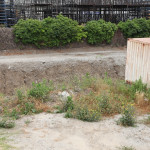 may17-003