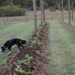high-altitude-hops_044