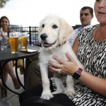 lone-tree-brewing_052
