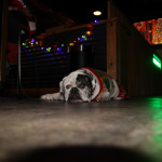party-040