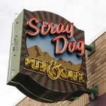 stray-dog_9967