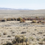 wind-river-brewing-006