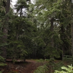oregon_012