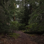 oregon_016