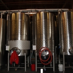wild-ride-brewing_024