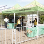 harvest-festival_019