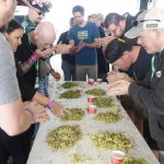harvest-festival_187