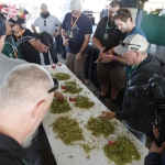 harvest-festival_199