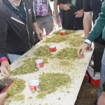 harvest-festival_213