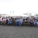 harvest-festival_260