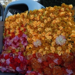 pasadena_145