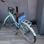 bluestem-006