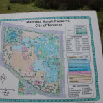 madrona-marsh-011