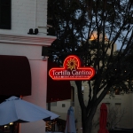 tortilla-cantina_001