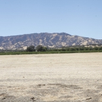 berryessa-brewing_001