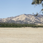 berryessa-brewing_003