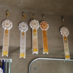 berryessa-brewing_033