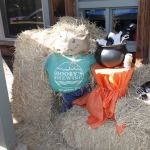 hoobys-brewing_006